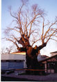 Thumbnail for version as of 09:39, 29 October 2007