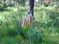 Thumbnail for version as of 09:26, 29 April 2025