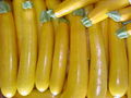 Yellow Zucchinis.