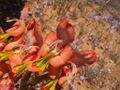 Thumbnail for version as of 10:01, 29 April 2025
