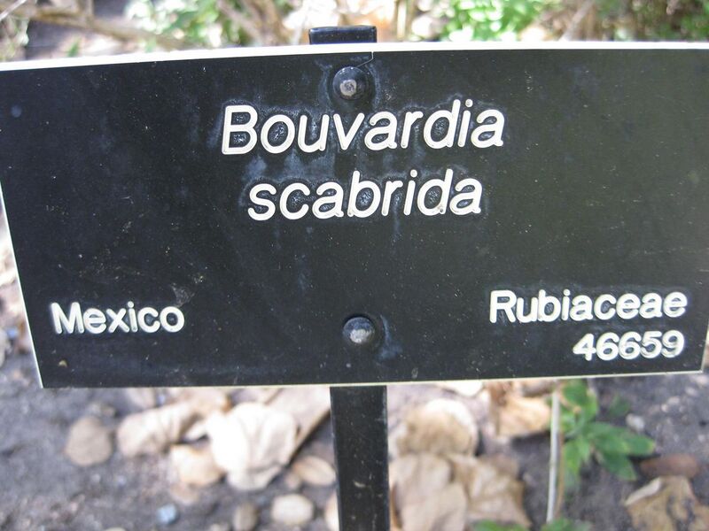 File:1280px-IMG 1946 hunt09oct.jpg