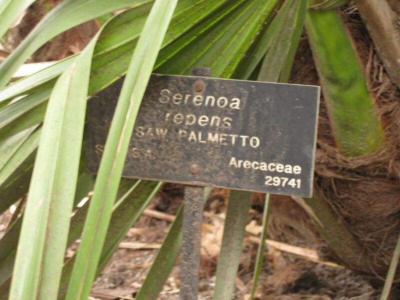 File:1280px-IMG 3883 hunt0904.jpg