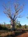 Thumbnail for version as of 17:47, 7 November 2007