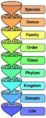 Thumbnail for version as of 10:30, 29 April 2025