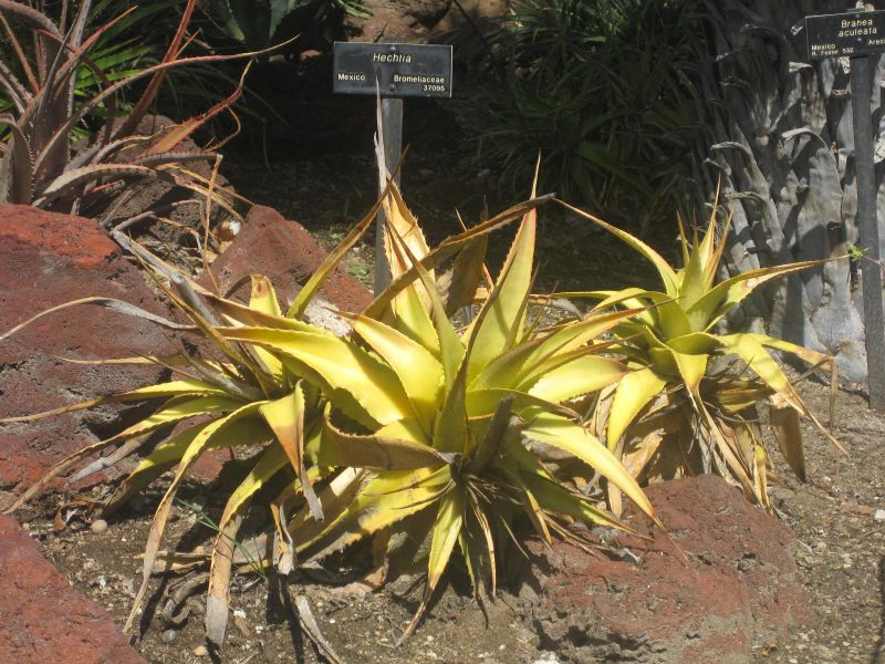 File:IMG 2193 hunt0903.jpg