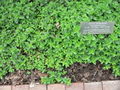 Thumbnail for version as of 14:21, 22 October 2007