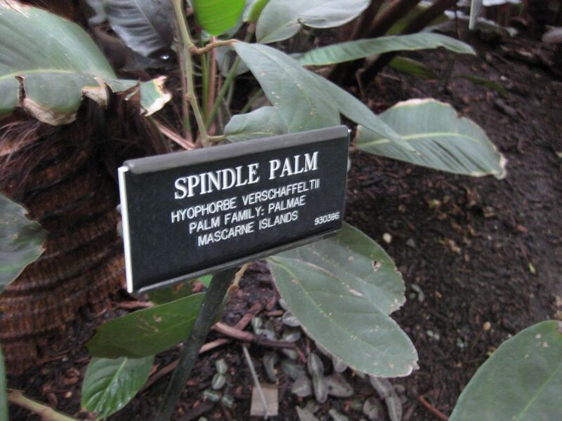 File:1280px-IMG 1114 bbg09.jpg