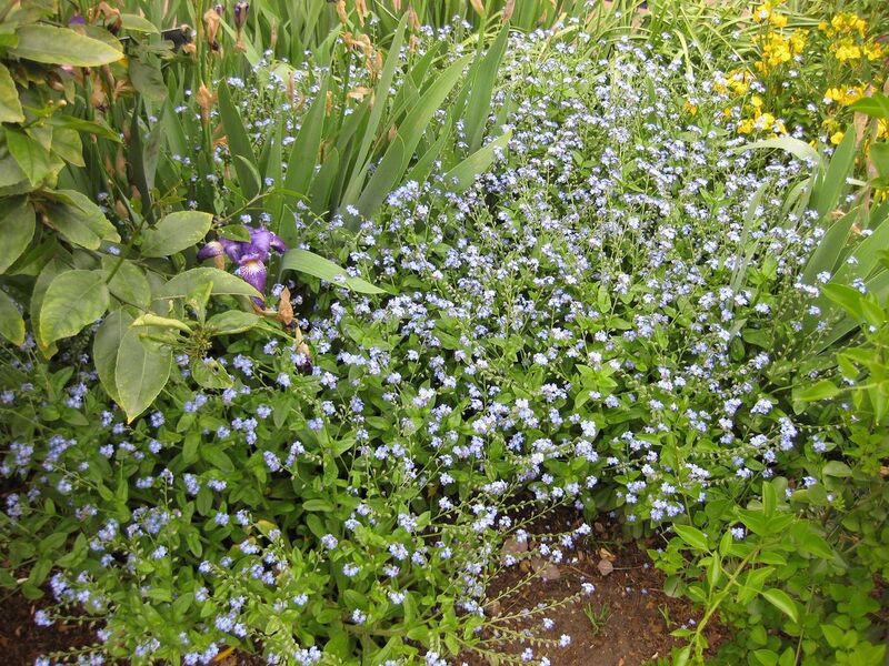 File:1280px-IMG 5287 hunt0904.jpg