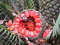 Thumbnail for version as of 11:53, 21 October 2007