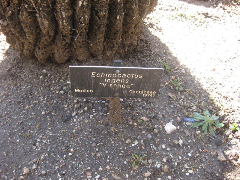 File:IMG 2197 hunt0903.jpg