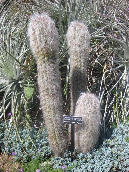 File:IMG 2320 hunt0903.jpg