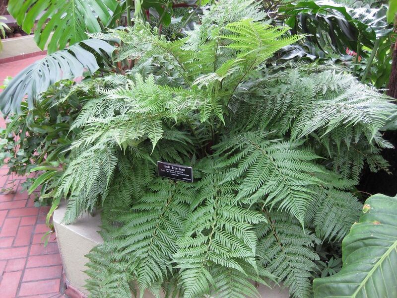 File:1024px-IMG 0900 bbg09.jpg