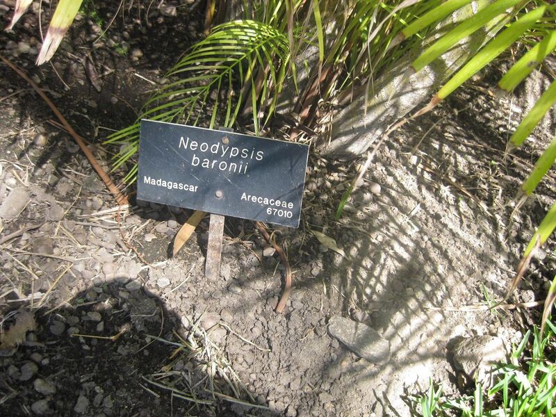 File:1280px-IMG 2091 hunt0903.jpg