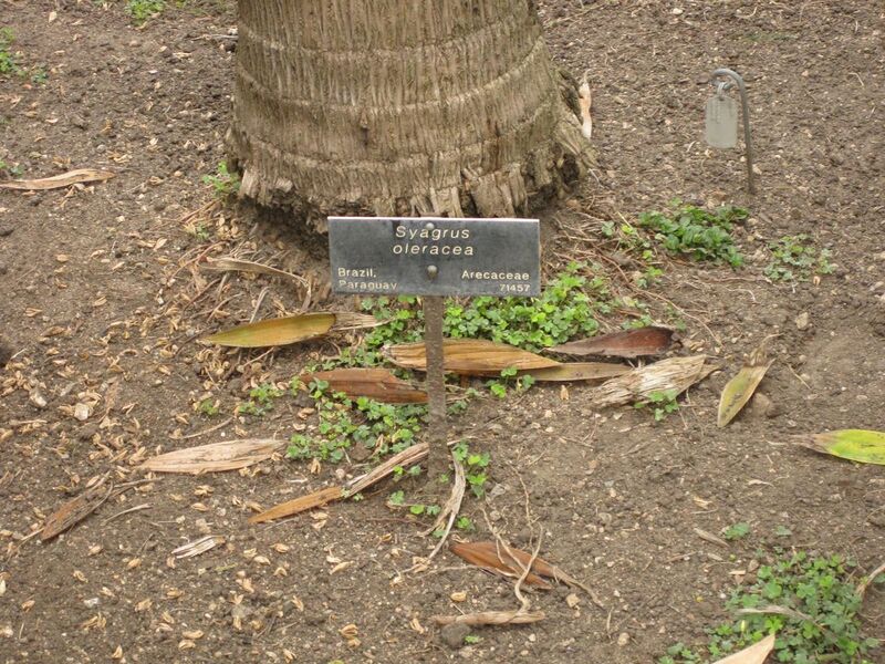 File:1280px-IMG 4092 hunt0904.jpg