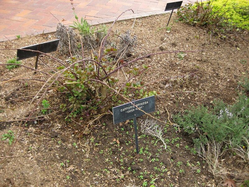 File:1280px-IMG 5338 hunt0904.jpg