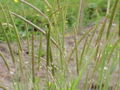Thumbnail for version as of 09:30, 29 April 2025