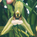 Thumbnail for version as of 11:05, 2 May 2007