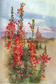 Thumbnail for version as of 17:50, 20 November 2007