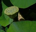 Thumbnail for version as of 16:23, 21 October 2007