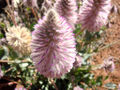 Thumbnail for version as of 16:19, 29 August 2009