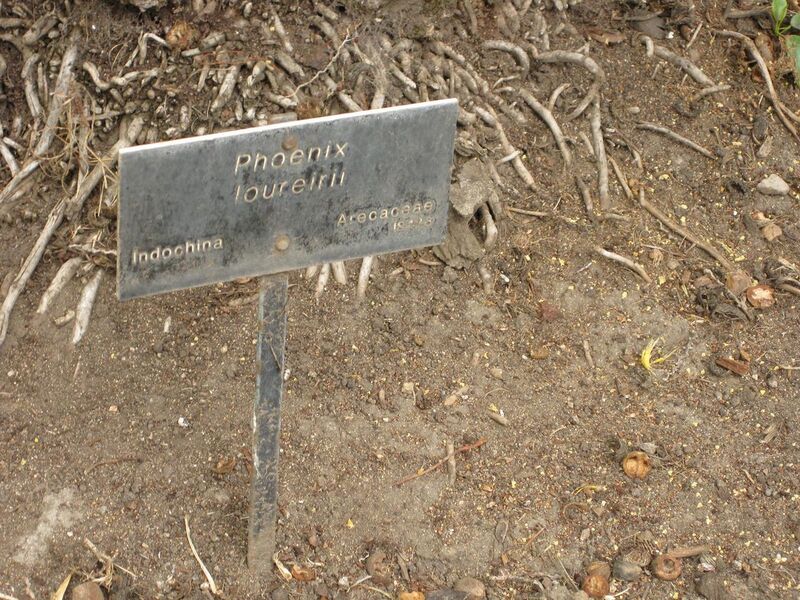 File:1280px-IMG 4047 hunt0904.jpg