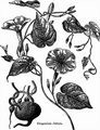 Thumbnail for version as of 09:27, 29 April 2025