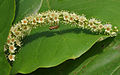 in Hyderabad, India.