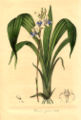 Thumbnail for version as of 06:20, 26 June 2007