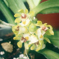 Thumbnail for version as of 11:32, 2 May 2007