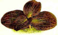 Thumbnail for version as of 12:28, 2 May 2007