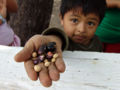 A farmer's son holding out seeds