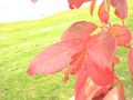 Thumbnail for version as of 09:07, 29 April 2025