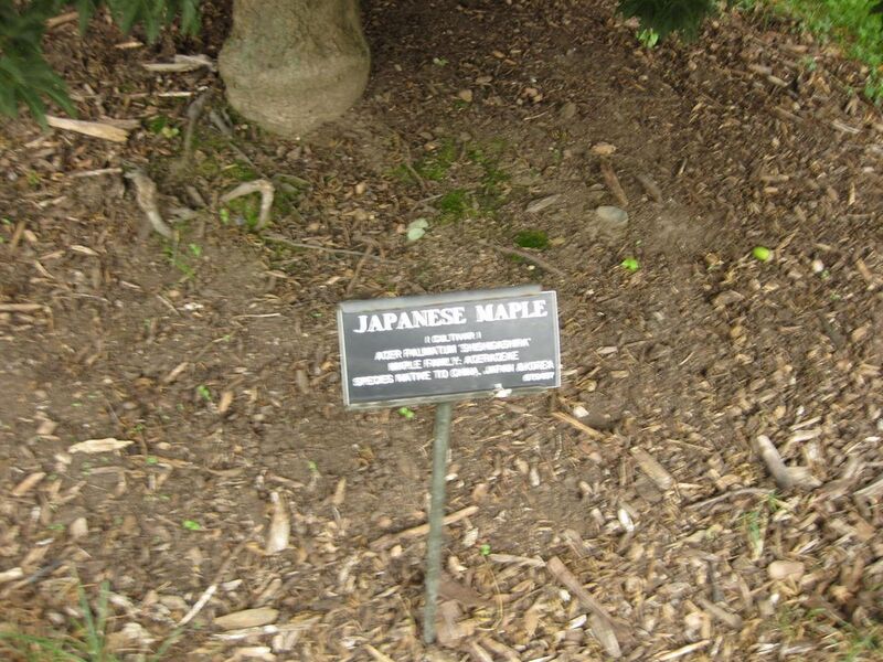 File:1280px-IMG 1418 bbg09.jpg