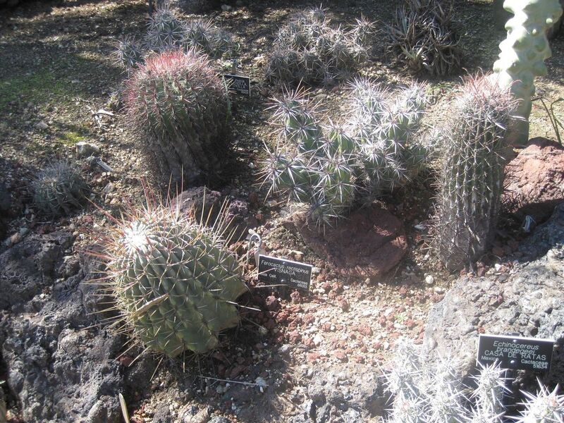 File:1280px-IMG 2429 hunt0903.jpg