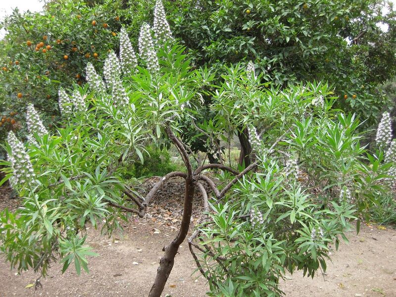 File:1280px-IMG 4968 hunt0904.jpg