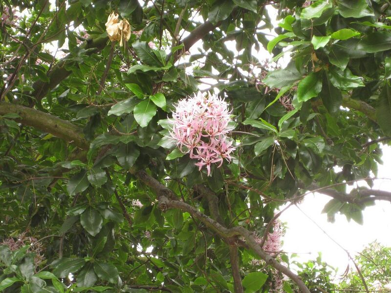 File:1280px-IMG 6970 hunt09jun.jpg