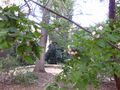 Thumbnail for version as of 10:35, 29 April 2025