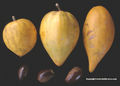 Thumbnail for version as of 16:41, 3 September 2008