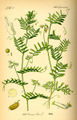 Thumbnail for version as of 12:16, 12 July 2007