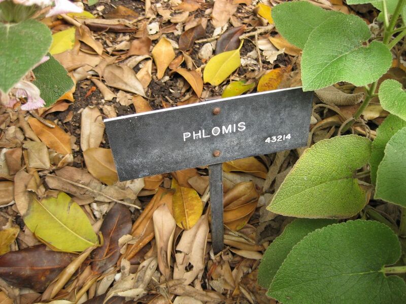 File:1280px-IMG 6933 hunt09jun.jpg