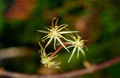 Thumbnail for version as of 10:06, 7 October 2007