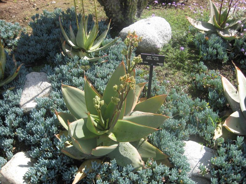 File:IMG 2283 hunt0903.jpg