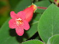 Thumbnail for version as of 12:06, 9 August 2007