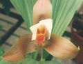 Thumbnail for version as of 12:26, 2 May 2007