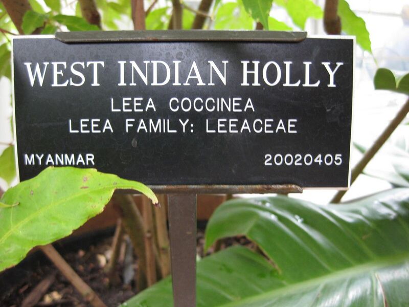 File:1280px-IMG 0881 bbg09.jpg