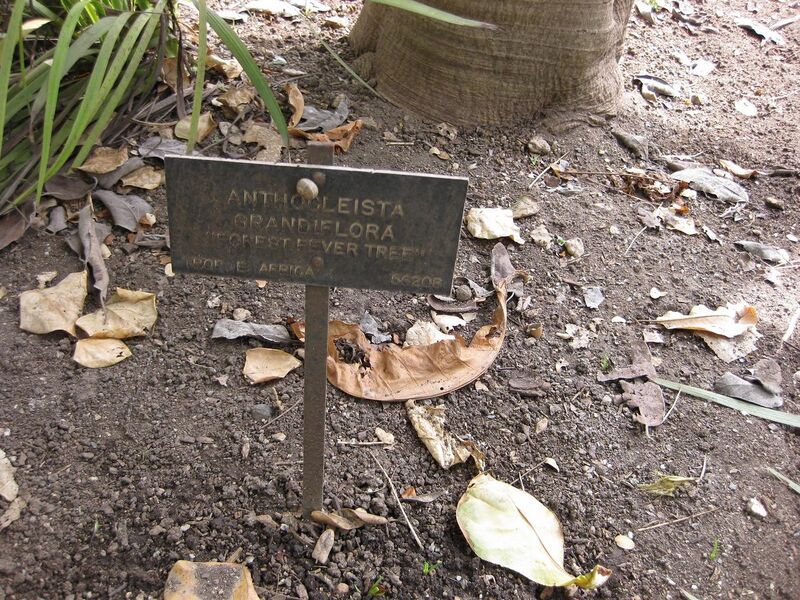 File:1280px-IMG 5138 hunt0904.jpg