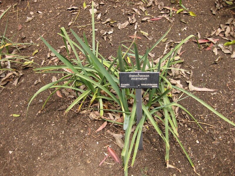 File:1280px-IMG 7205 hunt09jun.jpg