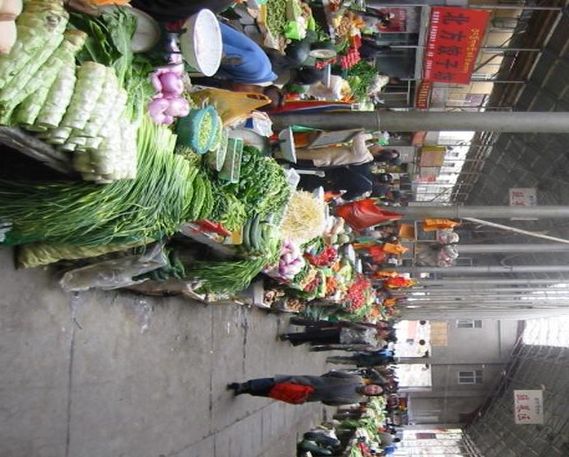 File:The farmer's market near the Potala in Lhasa.jpg