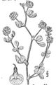 Thumbnail for version as of 06:38, 2 October 2007