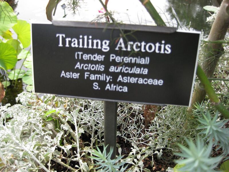 File:1280px-IMG 0769 bbg09.jpg